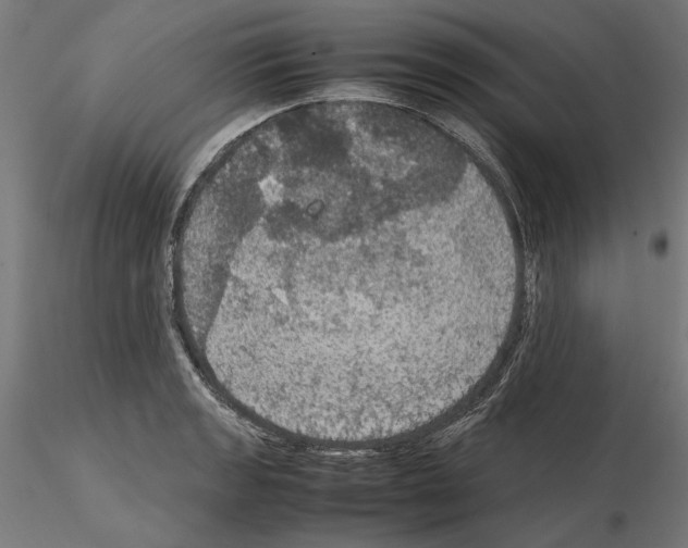 X0000115181133200912091041