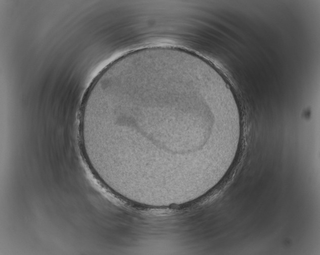 X0000115181134200912091041