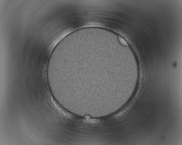 X0000115181137200912091041