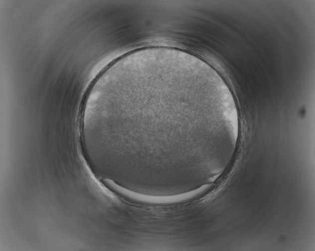 X0000115181141200912091041