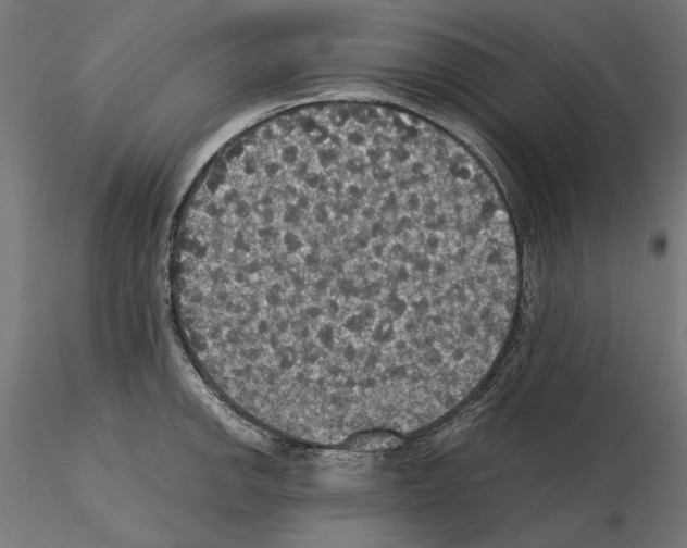 X0000115181142200912091041
