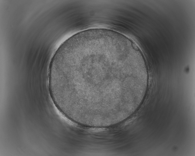 X0000115181143200912091041