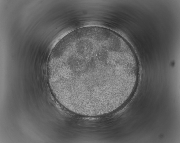 X0000115181145200912091041