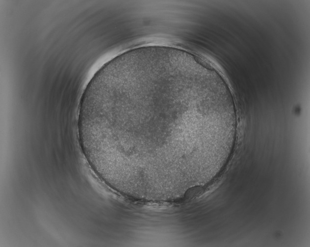 X0000115181146200912091041