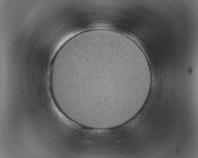 X0000115181147200912091041