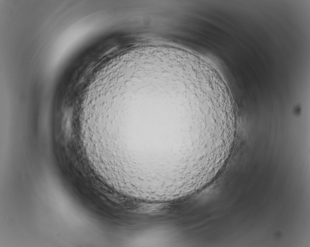X0000115181150200912091041