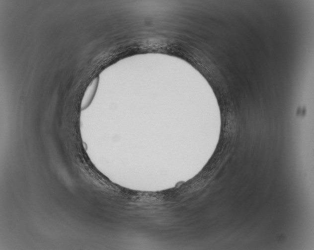 X0000115181153200912091040
