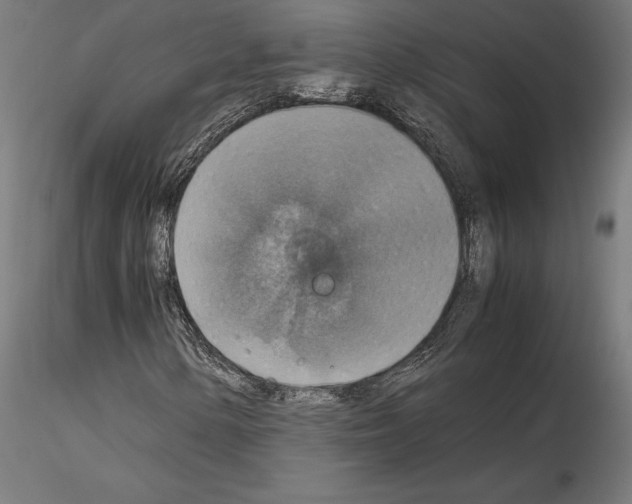 X0000115181154200912091040