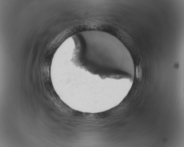 X0000115181155200912091040