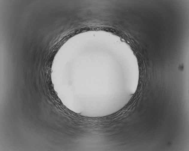 X0000115181157200912091040