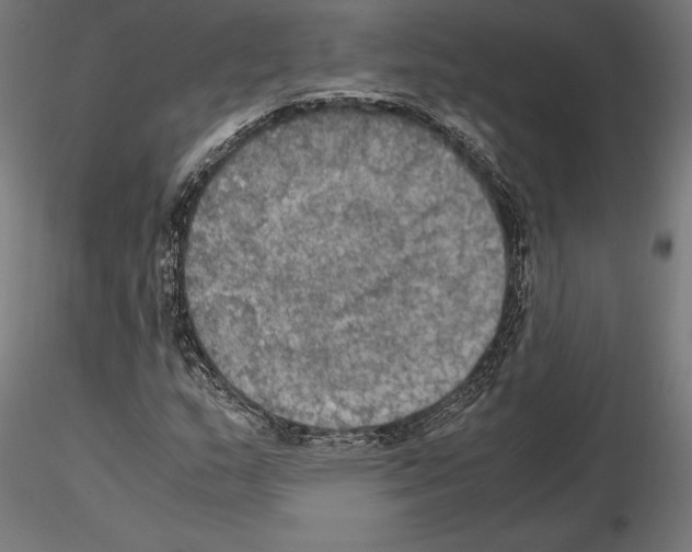 X0000115181159200912091040