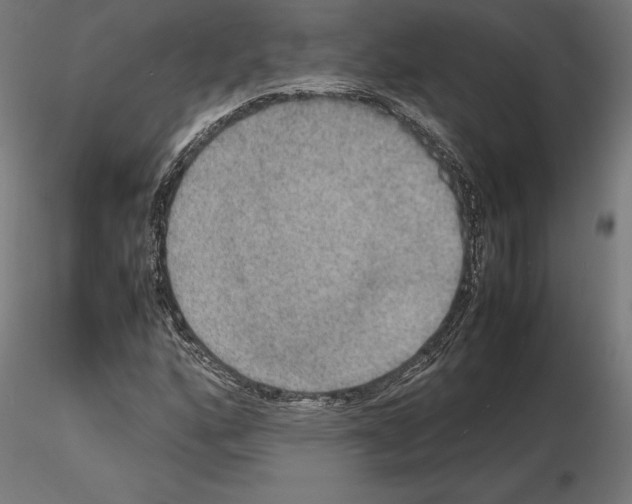 X0000115181160200912091040