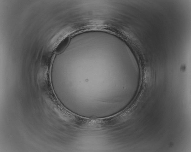 X0000115181161200912091040