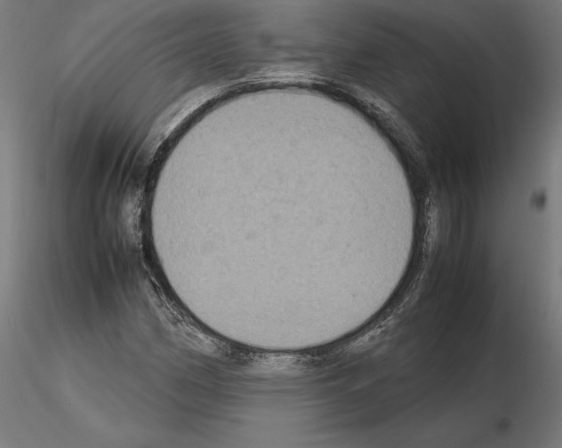 X0000115181162200912091040