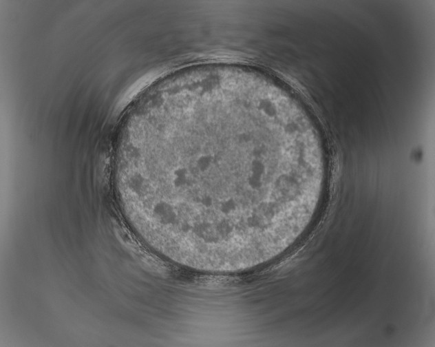 X0000115181163200912091040