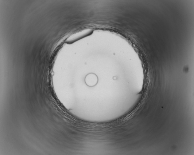 X0000115181165200912091040