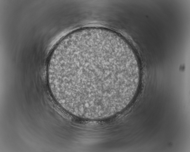 X0000115181167200912091040