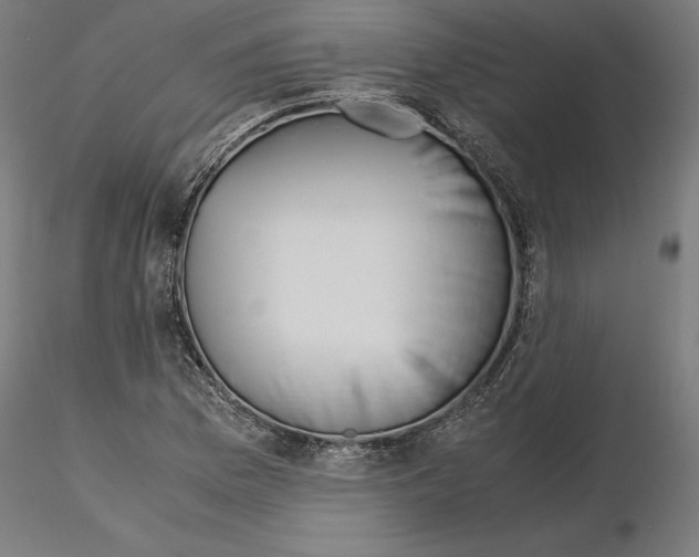 X0000115181169200912091040