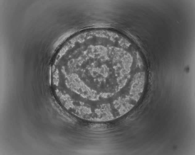 X0000115181171200912091040