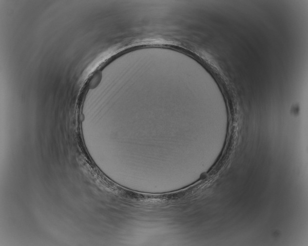X0000115181173200912091040