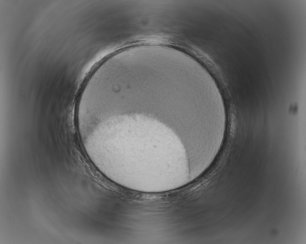 X0000115181174200912091040