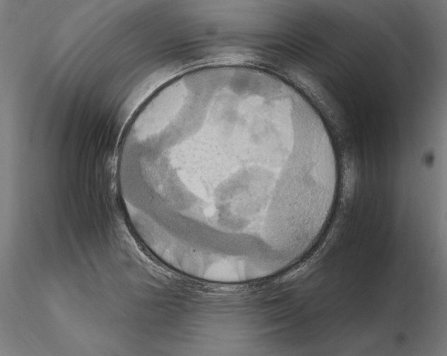 X0000115181178200912091040