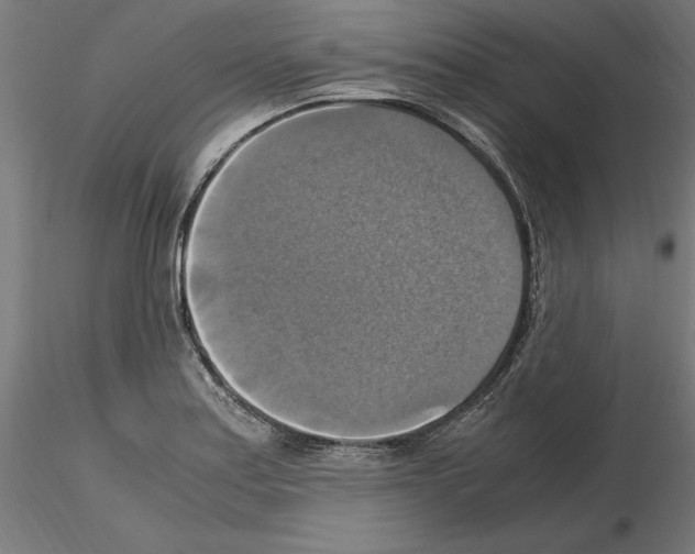 X0000115181179200912091040