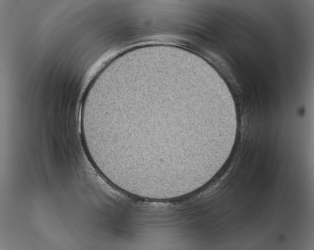 X0000115181180200912091040