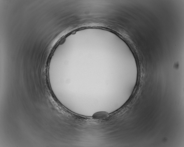 X0000115181181200912091040