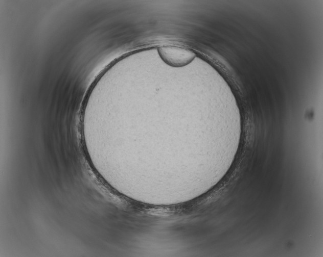 X0000115181182200912091040