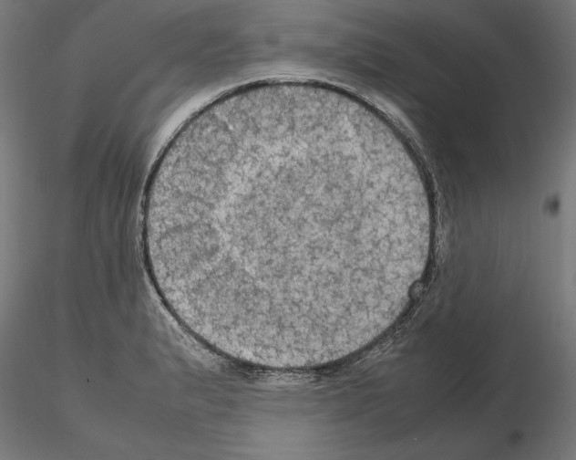 X0000115181183200912091040