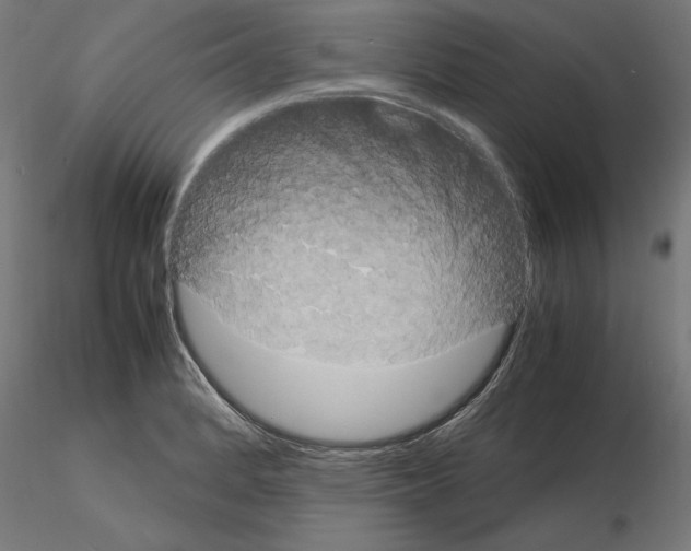 X0000115181184200912091040