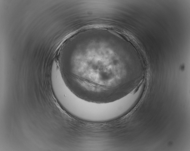 X0000115181185200912091040