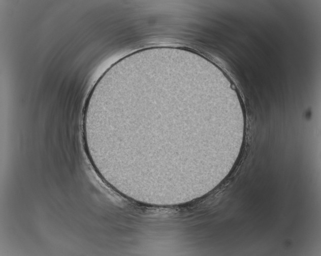 X0000115181187200912091040