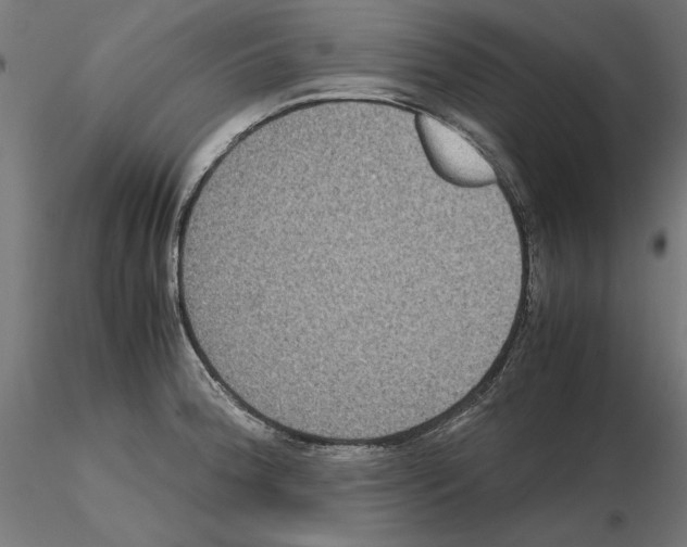 X0000115181188200912091040