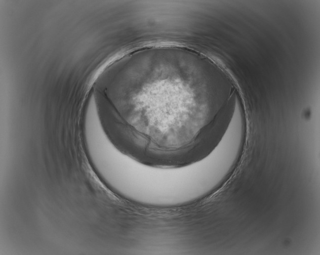 X0000115181189200912091040