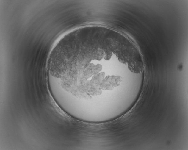 X0000115181192200912091040