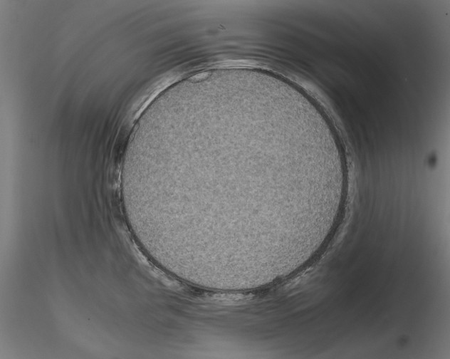 X0000115181193200912091040