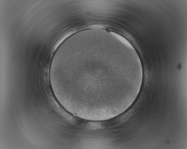 X0000115181194200912091040