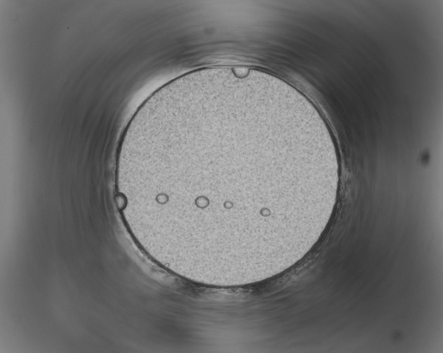 X0000115181195200912091040