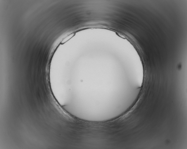 X0000115181196200912091040