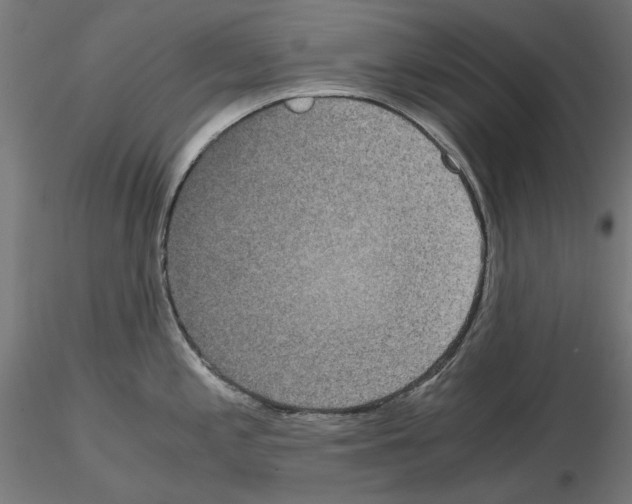 X0000115181197200912091040