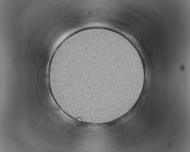 X0000115181199200912091040