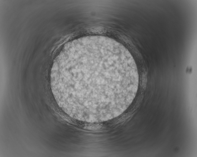 X0000115181201200912091039