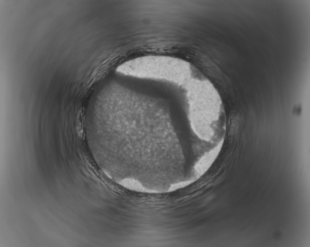 X0000115181202200912091039