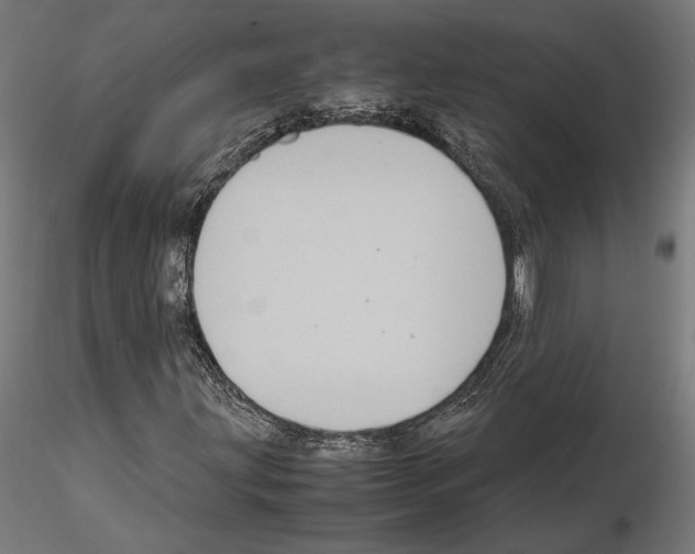 X0000115181203200912091039