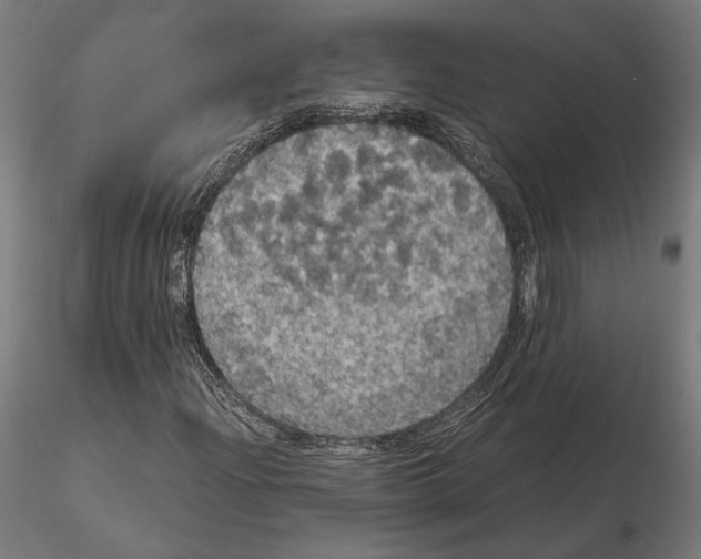 X0000115181204200912091039