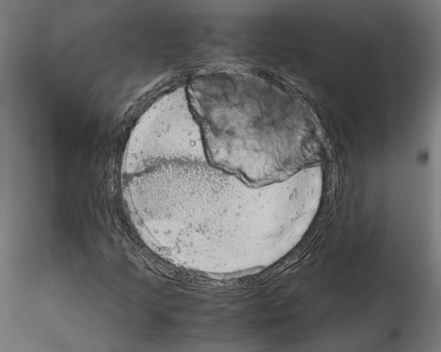 X0000115181205200912091039