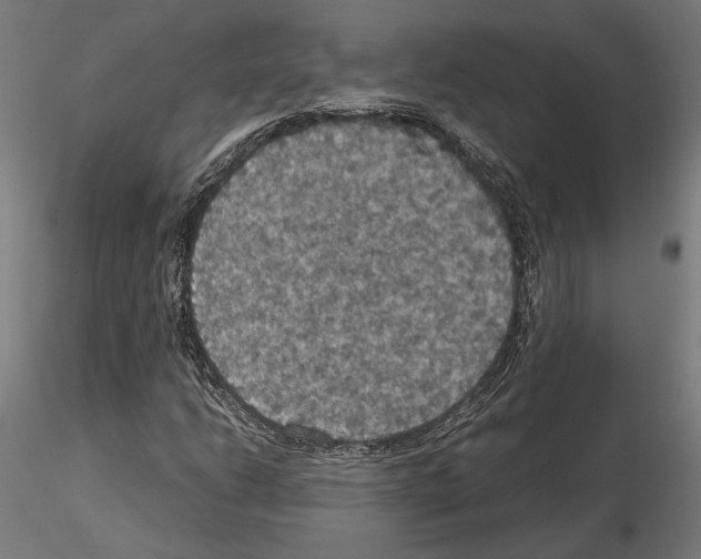 X0000115181206200912091039