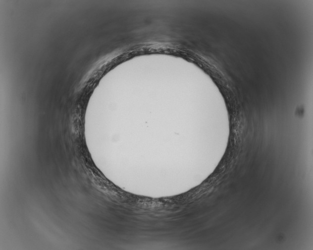 X0000115181207200912091039